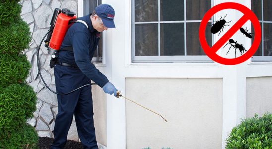 Marmaris Kene İlaçlama böcek ilaçlama ve haşere kontrolü — ilaclama-tr.com